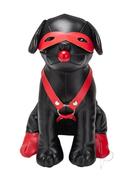 Prowler Red Bondage Puppy Booted Up Bandit - Black/red